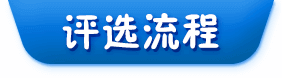 评选流程